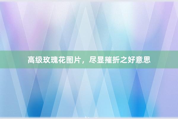 高级玫瑰花图片，尽显摧折之好意思