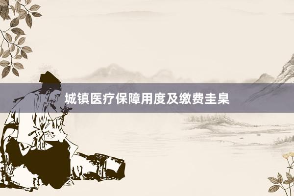 城镇医疗保障用度及缴费圭臬