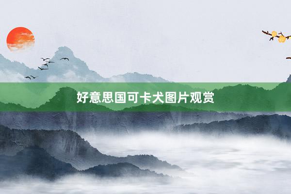 好意思国可卡犬图片观赏