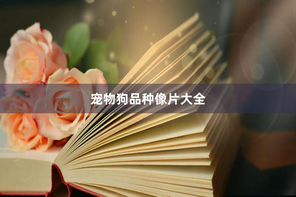 宠物狗品种像片大全