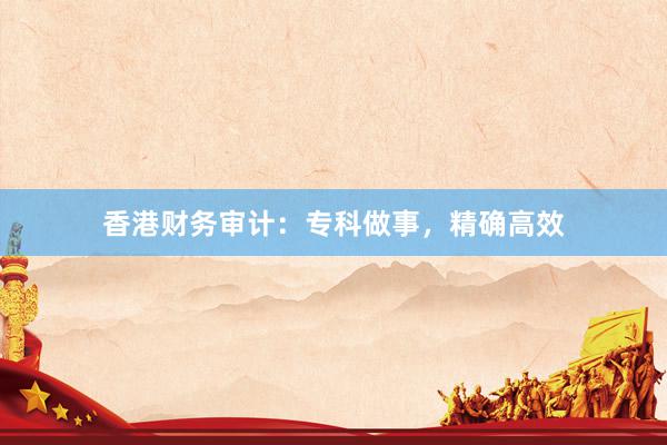 香港财务审计：专科做事，精确高效
